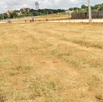 Plot Area in  Plot at Fortune 18, Amangal – for Sale
