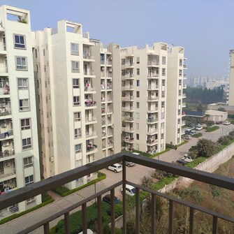 3 BHK Apartment For Rent in Sushma Joynest MOH Bir Chhat Chandigarh  7819161