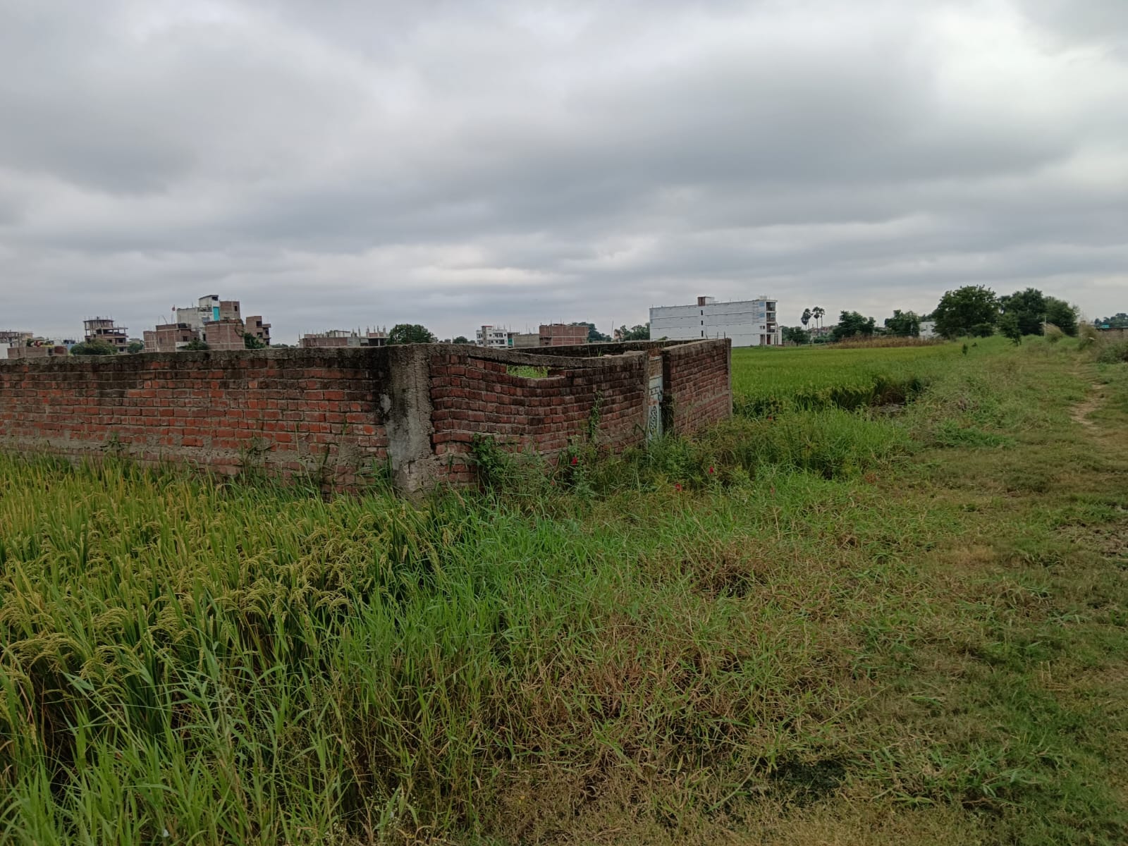 Plot For Resale in Chhoti Pahari Patna  7819291