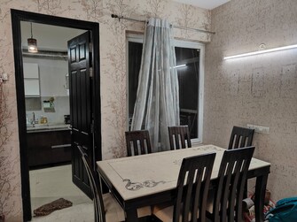 2 BHK Apartment For Rent in Shalimar Gallant Mahanagar Lucknow  7819361