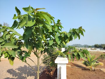 Plot – Garden View at Veltur - for Sale