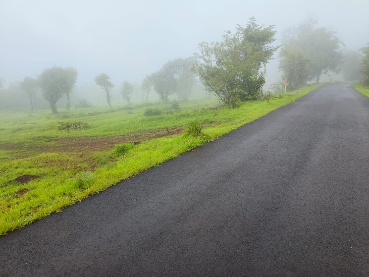 Garden, mangaon  20000 Sq.Ft. Plot In Mangaon Raigad 7819485