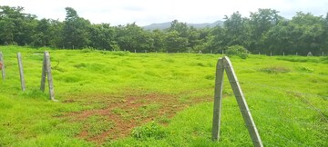 Plot Area in  Plot at Mangaon – for Sale