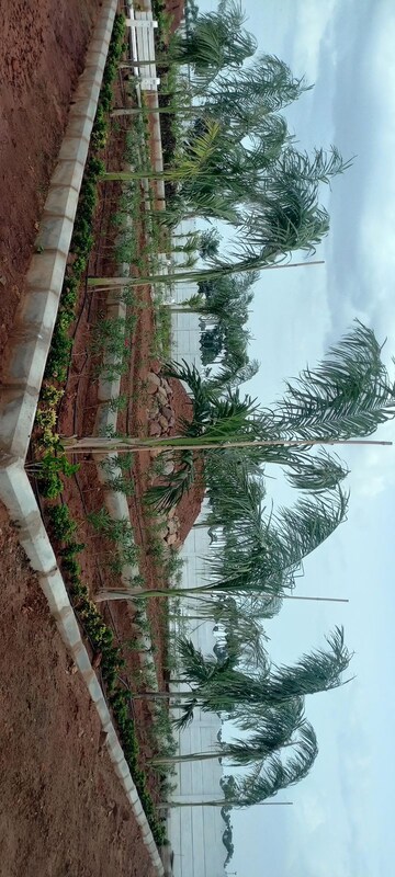  Plot – Exterior View View at Sri Bhumi Eeshaanya, Kankipadu - for Sale