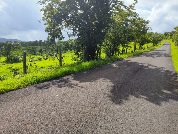 Garden, mangaon  20000 Sq.Ft. Plot In Mangaon Raigad 7819585