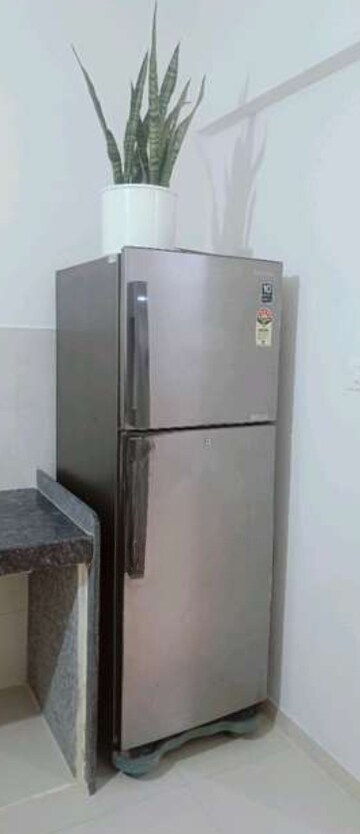 1 BHK Apartment For Rent in Runwal Eirene, Balkum Pada