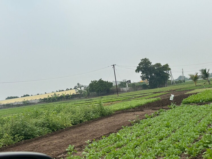 undefined, ssp-sree-city-legend  1880 Sq.Yd. Plot In Kankipadu Vijayawada 7819889