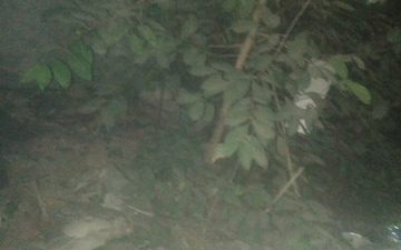Plot For Sale in Transport Nagar
