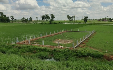 Plot For Sale in Salimpur Ahra