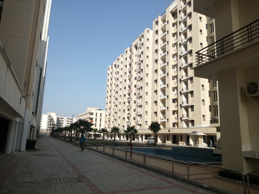 2 BHK Apartment For Resale in Sector 115 Mohali  7820492