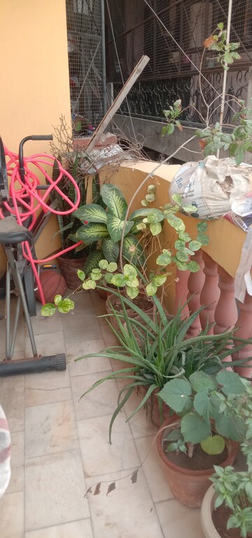 2 BHK Apartment – Map Location View at Radha Swami Apartments, Patel Nagar - for Sale