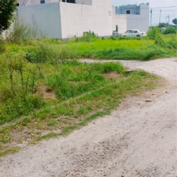 Plot Area in  Plot at Modipuram – for Sale
