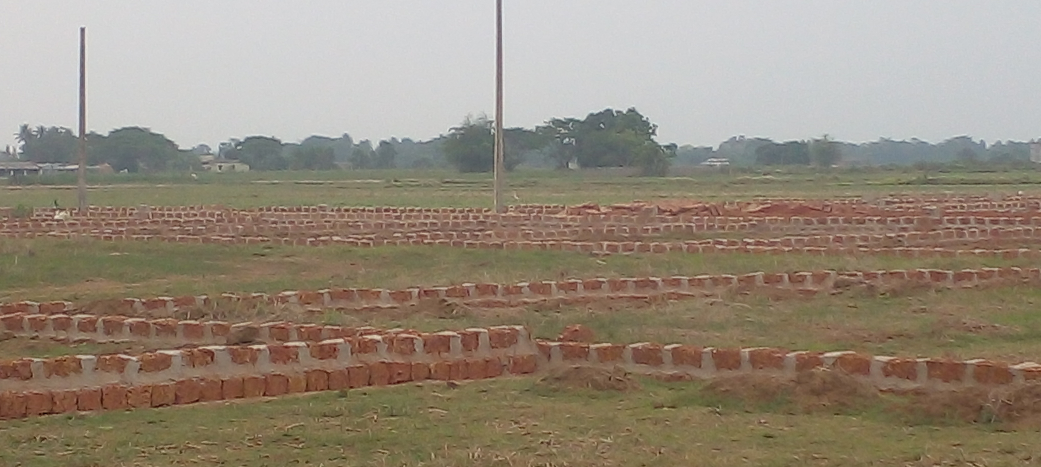 Plot For Resale in Ranga Bazar Bhubaneswar  7820871