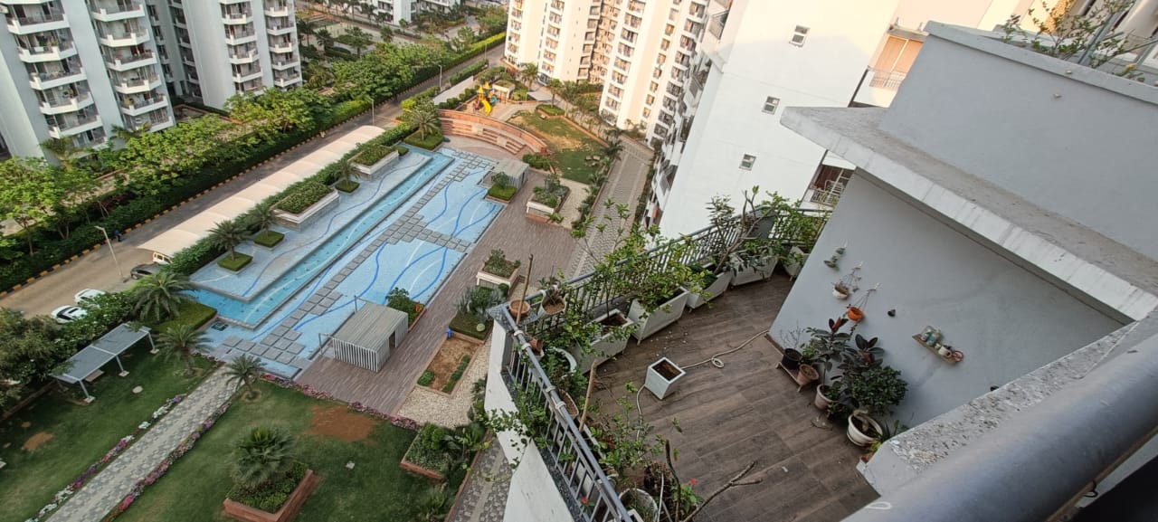 3 BHK Apartment For Rent in Anant Raj Maceo Sector 91 Gurgaon  7820931