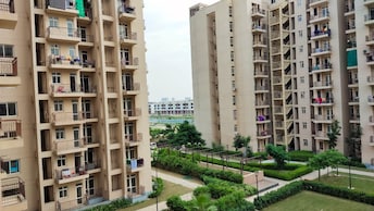 3 BHK Apartment For Resale in BPTP Park Elite Premium Sector 84 Faridabad  7820966