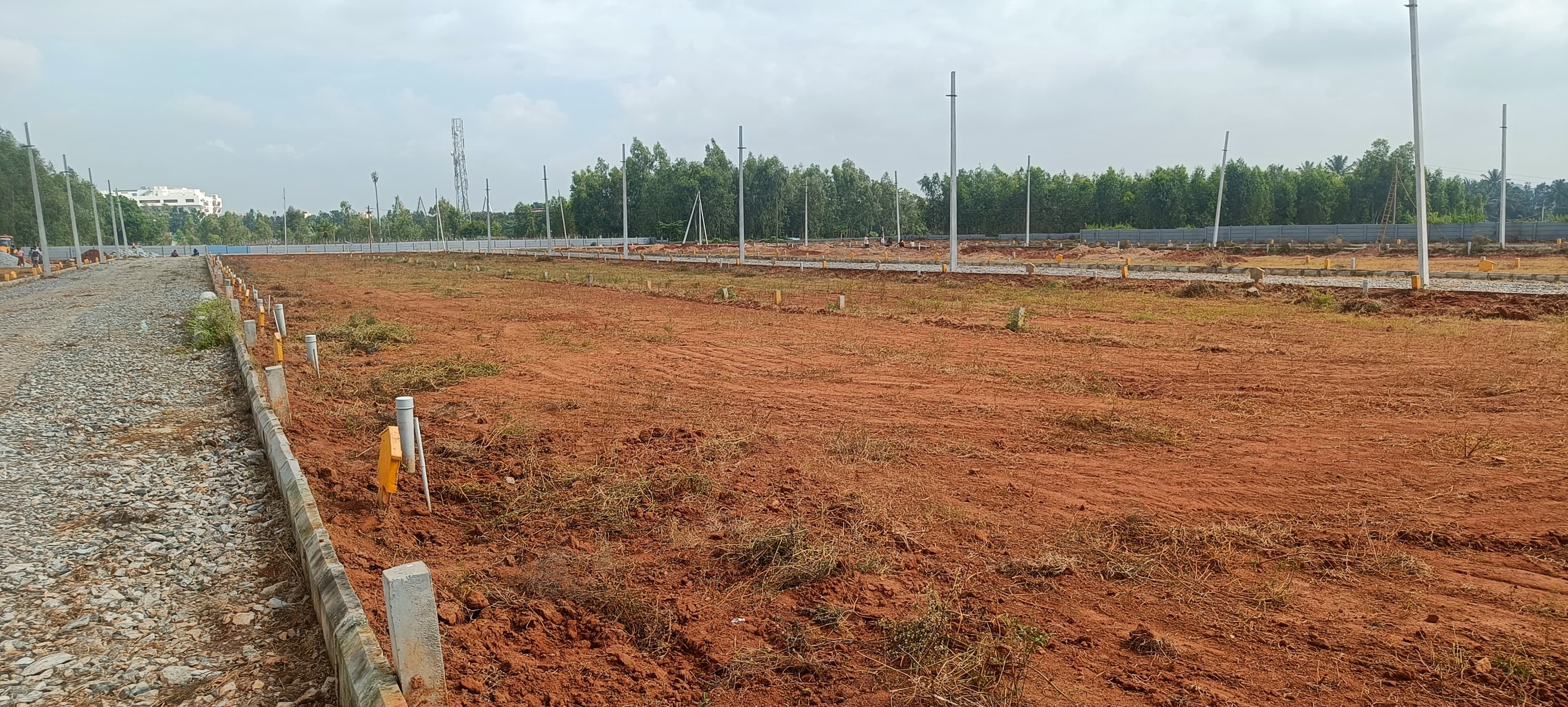 Plot For Sale in Sh Residency 
