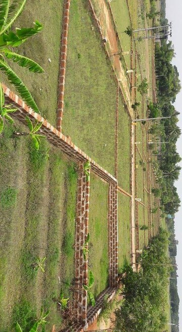 Plot Area in  Plot at Orakal – for Sale