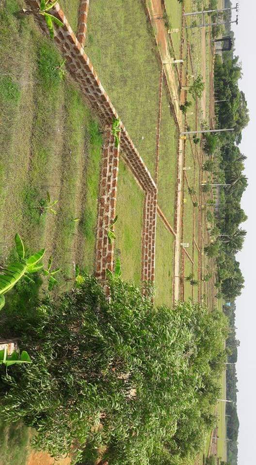 Plot For Resale in Orakal Bhubaneswar  7821079