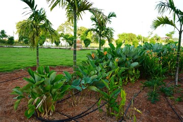  Plot – Garden View at Shadnagar - for Sale