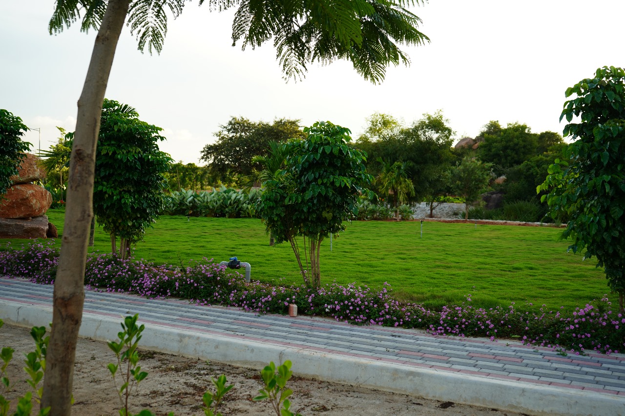 Plot For Resale in Spectra Divine Shadnagar Shadnagar Hyderabad  7821125