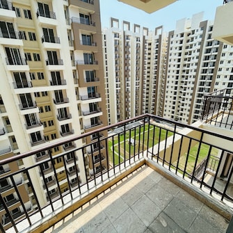 3 BHK Apartment For Resale in Amrapali Golf Homes Haibatpur Greater Noida  7821155