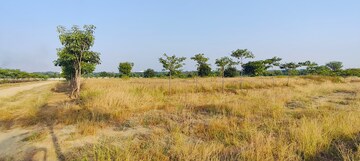 Plot Area in  Plot at Shankarpalli – for Sale