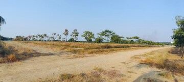 Plot Area in  Plot at Shankarpalli – for Sale