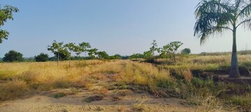 Plot Area in  Plot at Shankarpalli – for Sale