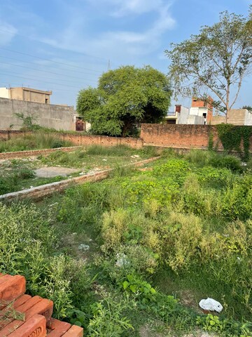 Plot Area in  Plot at Touchwood The Woods Naubasta, Naubasta Kala – for Sale