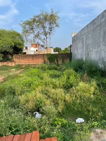 Plot Area in  Plot at Touchwood The Woods Naubasta, Naubasta Kala – for Sale