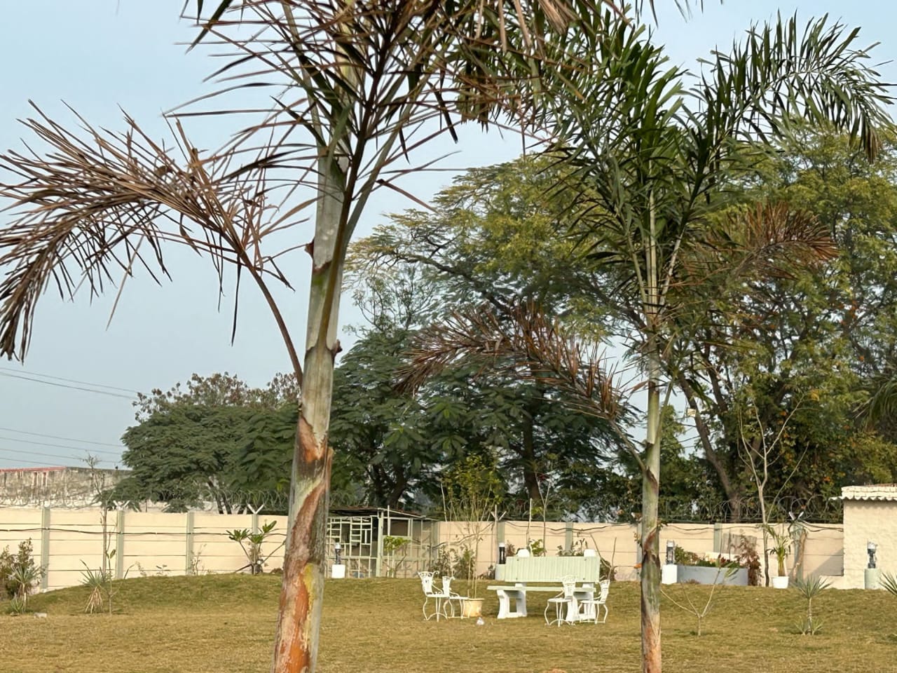 Plot For Sale in Sector 108