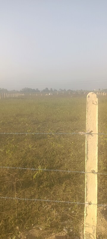 Plot For Resale in Shahpur Dehradun  7821538