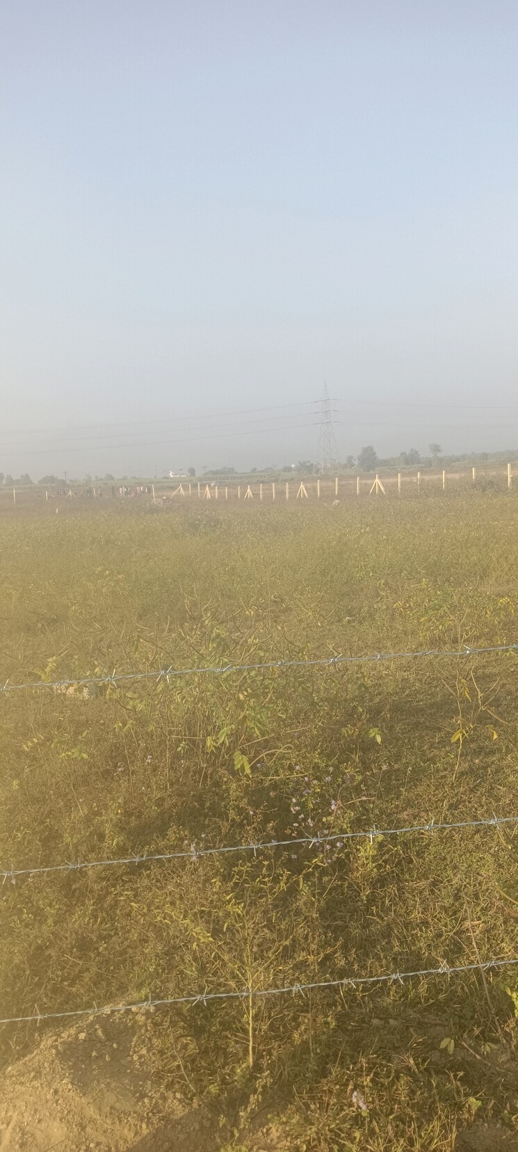 undefined, shahpur  4500 Sq.Ft. Plot In Shahpur Dehradun 7821538