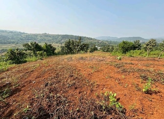 Plot For Resale in Batim North Goa  7809366