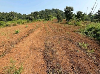 Plot For Resale in Batim North Goa  7809366