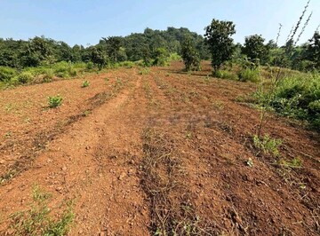 Plot For Resale in Batim North Goa  7809366