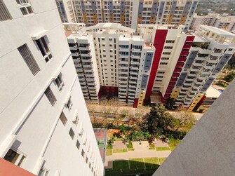 3 BHK Apartment For Resale in NCC Urban Mayfair Yelahanka Bangalore  7821695