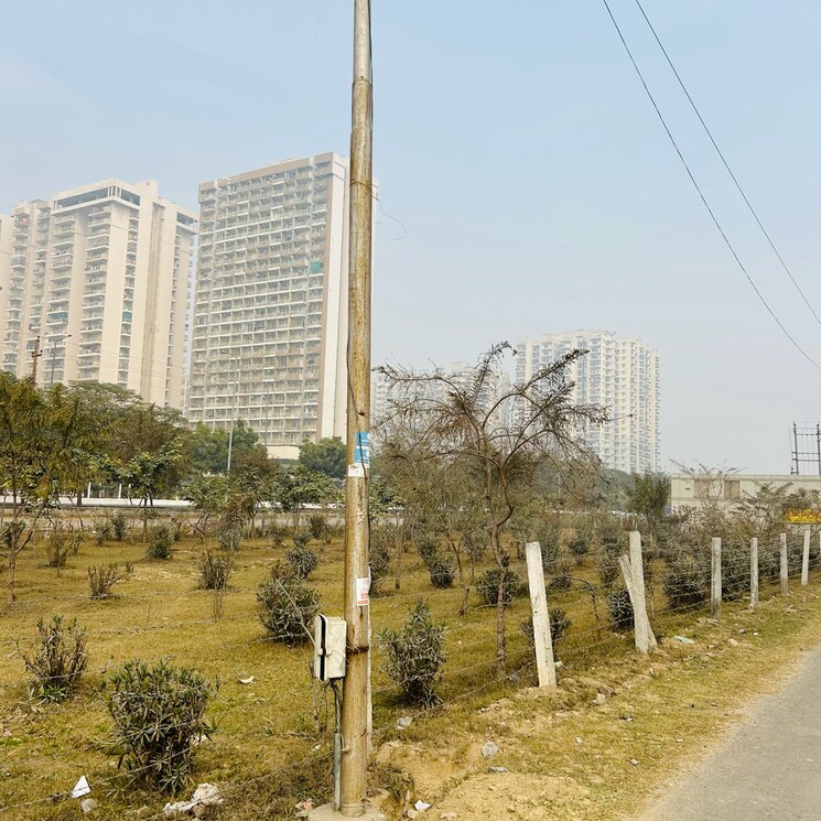 Exterior View, nirala-greenshire  220 Sq.Mt. Plot In Sector 2 Greater Noida Greater Noida 7822108