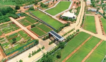  Plot – Garden View at Lankelapalem - for Sale