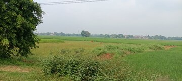 Plot Area in  Plot at Bihta – for Sale