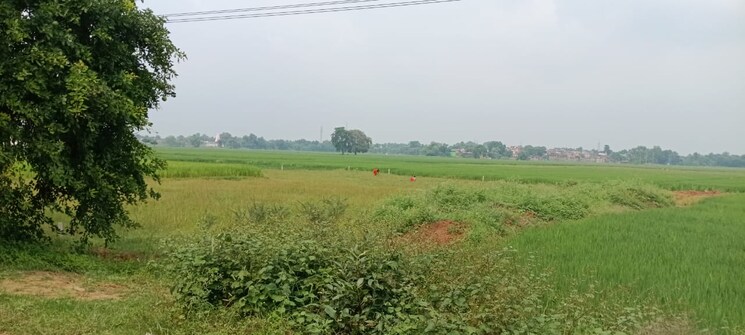 undefined, bihta  800 Sq.Ft. Plot In Bihta Patna 7822287