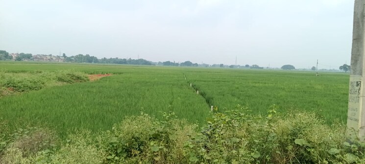 undefined, bihta  800 Sq.Ft. Plot In Bihta Patna 7822287
