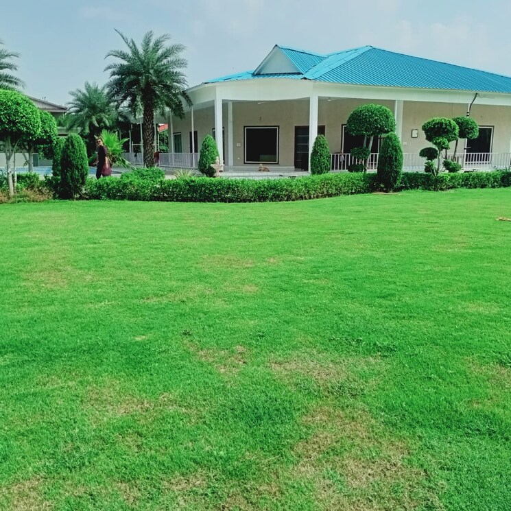 Garden, sector 135 3 Bedroom 1850 Sq.Ft. Villa In Sector 135 Noida 7822401