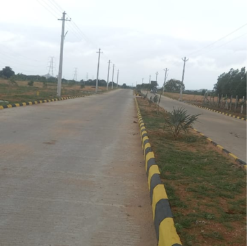 Plot Area in  Plot at Fortune Crystal, Amangal – for Sale