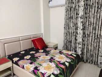 3 BHK Apartment For Rent in Alliance The Eminence Singhpura Zirakpur  7822927