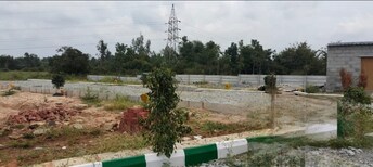 Plot For Resale in Jaisinghpura Jaipur  7817722