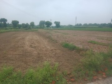 Plot Area in  Plot at SS Sainik Farms, Sector 150 – for Sale