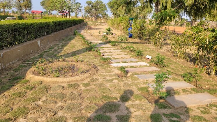 Garden, ss-sainik-farms  1000 Sq.Yd. Plot In Sector 150 Noida 7823076