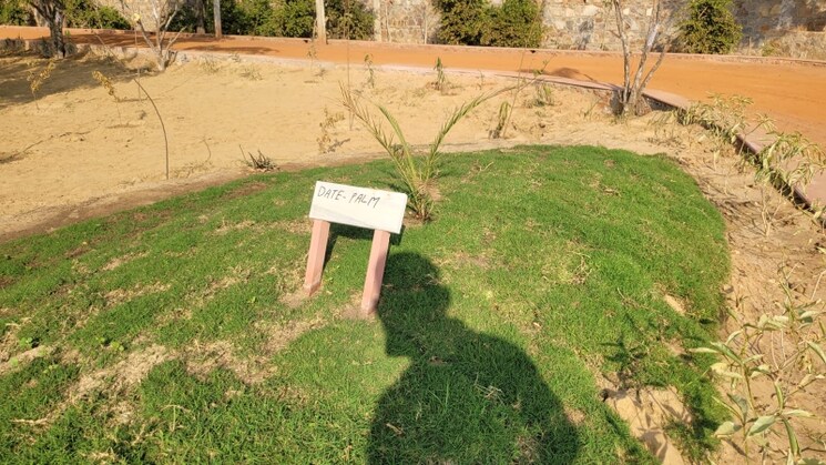 undefined, ss-sainik-farms  1000 Sq.Yd. Plot In Sector 150 Noida 7823076