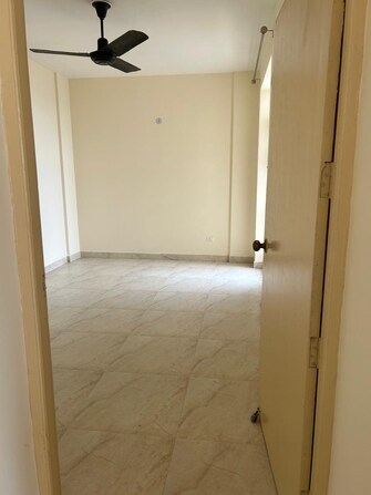 2 BHK Apartment For Rent in Zion Stonecrop and Celeste Garden Sector 78 Faridabad  7793043